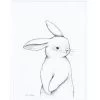 Affiche Encadrée Lapin De Face (30 X 40 Cm)