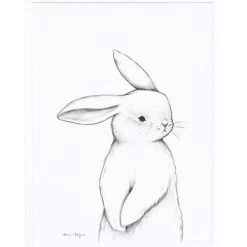 Affiche Encadrée Lapin De Face (30 X 40 Cm)
