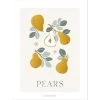 Affiche Poires Pears (30 X 40 Cm)