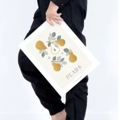 Affiche Poires Pears (30 X 40 Cm) 9 Affiche Poires Pears (30 X 40 Cm) -Djeco Magasin affiche poires pears 30 x 40 cm 4
