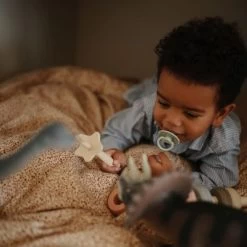 Mushie Brosse à Dent D'apprentissage étoile Shifting Sand 10 Mushie Brosse à Dent D'apprentissage étoile Shifting Sand -Djeco Magasin brosse a dent d apprentissage etoile shifting sand 3