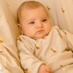 Housse De Siège-auto Safari 10 Housse De Siège-auto Safari -Djeco Magasin housse de siege auto safari 4