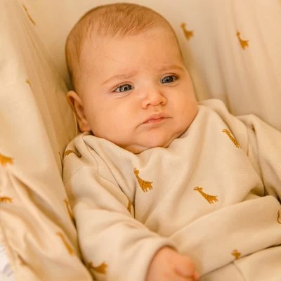 Housse De Siège-auto Safari 4 Housse De Siège-auto Safari – Image 4