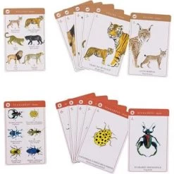 Moulin Roty Jeu De 7 Familles Des Espèces -Djeco Magasin jeu de 7 familles des especes 3