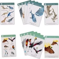 Moulin Roty Jeu De 7 Familles Des Espèces -Djeco Magasin jeu de 7 familles des especes 4