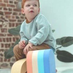 Jeu De Motricité En Mousse Rainbow Nature (2 Blocs) -Djeco Magasin jeu de motricite en mousse rainbow nature 2 blocs 3