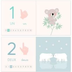 Livre éducatif J'apprends Les Chiffres En Images -Djeco Magasin livre educatif j apprends les chiffres en images 3