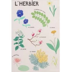 Livre Le Grand Imagier De Dodo Toucan -Djeco Magasin livre le grand imagier de dodo toucan 6