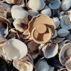 Lot De 2 Sucettes En Latex Daisy Bloom Aurora/Croissant (0-6 Mois) -Djeco Magasin lot de 2 sucettes en latex daisy bloom aurora croissant 0 6 mois 6