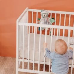 Miroir D'éveil Chillos Le Paresseux -Djeco Magasin miroir d eveil chillos le paresseux 3